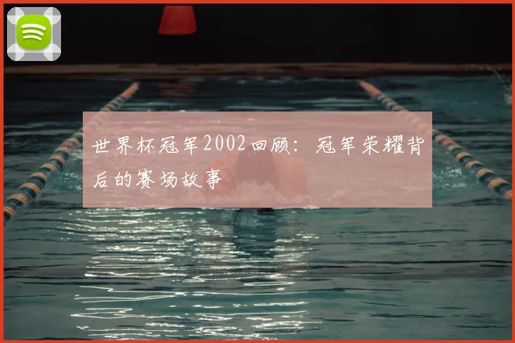 世界杯冠军2002回顾：冠军荣耀背后的赛场故事