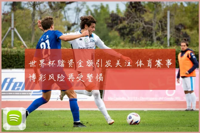 世界杯赌资金额引发关注 体育赛事博彩风险再受警惕