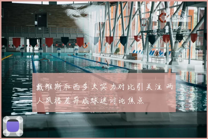 戴维斯和西多夫实力对比引关注 两人风格差异成球迷讨论焦点
