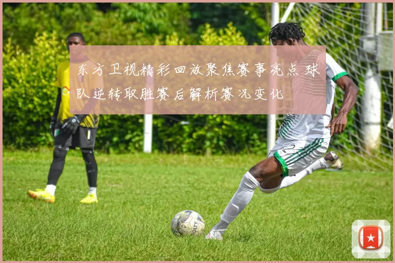 东方卫视精彩回放聚焦赛事亮点 球队逆转取胜赛后解析赛况变化