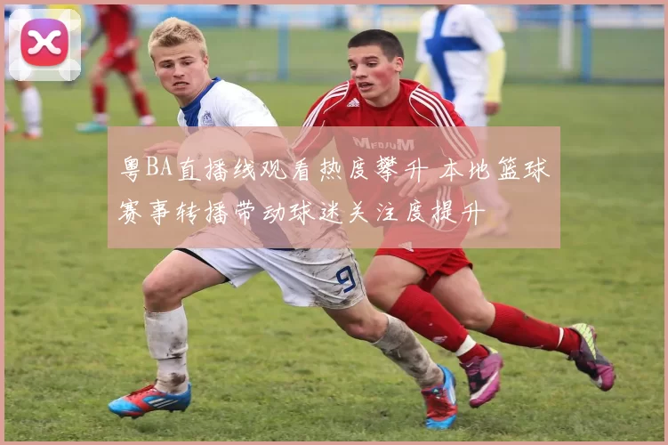 粤BA直播线观看热度攀升 本地篮球赛事转播带动球迷关注度提升